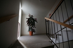 Stockholm i den Globala Förkastningen Del 2